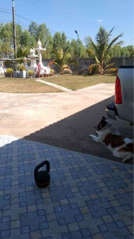 Kettlebell training